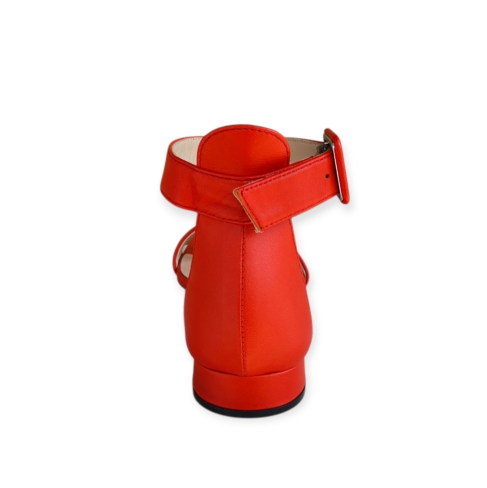 9E 320486 33 Corallo